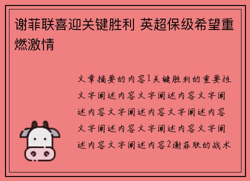 谢菲联喜迎关键胜利 英超保级希望重燃激情